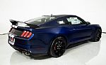 2019 Mustang Shelby GT350 R Thumbnail 16