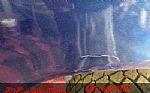 1980 Blazer Thumbnail 63