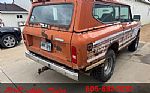 1979 Scout Thumbnail 7