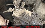 1979 Scout Thumbnail 100