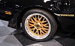 1979 Firebird Trans Am Restomod Thumbnail 49