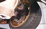 1979 Firebird Trans Am Restomod Thumbnail 55
