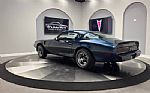 1981 Firebird Thumbnail 3