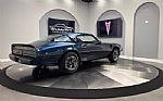 1981 Firebird Thumbnail 5