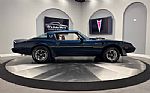 1981 Firebird Thumbnail 6