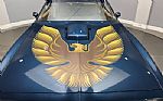 1981 Firebird Thumbnail 10
