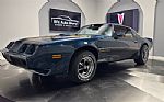 1981 Firebird Thumbnail 14