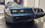 1981 Firebird Thumbnail 12