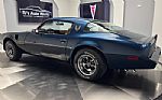 1981 Firebird Thumbnail 20