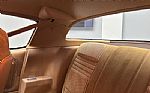 1981 Firebird Thumbnail 46