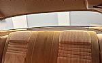 1981 Firebird Thumbnail 47