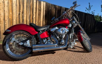 Photo of a 2004 S&S Orange County Chopper for sale