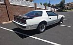 1985 Firebird 500 Limited Edition Thumbnail 3
