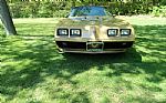 1979 Trans Am Thumbnail 2