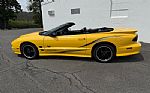 2002 Trans Am Collector Edition Thumbnail 11