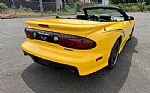 2002 Trans Am Collector Edition Thumbnail 18