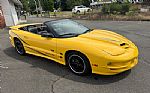2002 Trans Am Collector Edition Thumbnail 22