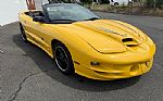 2002 Trans Am Collector Edition Thumbnail 23