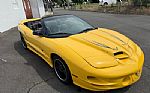 2002 Trans Am Collector Edition Thumbnail 24