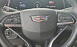 2023 Escalade Thumbnail 16