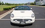 2002 Thunderbird Thumbnail 24