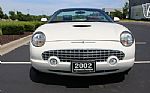 2002 Thunderbird Thumbnail 25