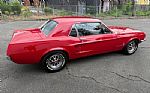 1967 Mustang Thumbnail 16