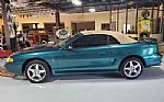 1997 Mustang SVT Cobra Thumbnail 5