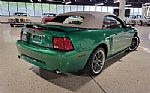 1999 Mustang GT Thumbnail 33
