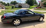 2002 Thunderbird Thumbnail 8