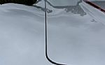 1982 Corvette Thumbnail 17