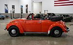 1971 Beetle Thumbnail 4