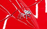 1966 Corvette Thumbnail 58