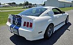 2007 MUSTANG SHELBY GT500 Thumbnail 4