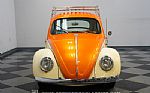 1962 Beetle Thumbnail 18