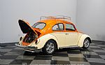 1962 Beetle Thumbnail 31