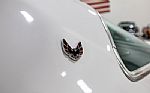 1976 Trans Am Thumbnail 26