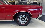 1966 GTO 389 Auto Thumbnail 8