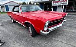 1965 GTO Thumbnail 4