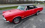 1965 GTO Thumbnail 9