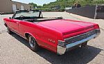 1965 GTO Thumbnail 13