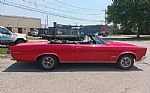 1965 GTO Thumbnail 12