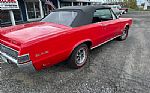 1965 GTO Thumbnail 22