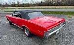 1965 GTO Thumbnail 25