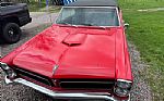 1965 GTO Thumbnail 36