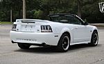 2000 Mustang Thumbnail 18