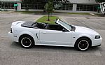 2000 Mustang Thumbnail 22
