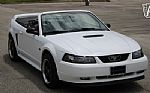 2000 Mustang Thumbnail 25
