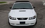2000 Mustang Thumbnail 27