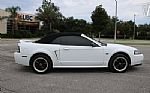 2000 Mustang Thumbnail 38